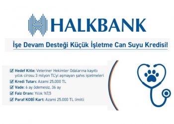 İşe Devam Desteği-Küçük İşletme Can Suyu Kredisi