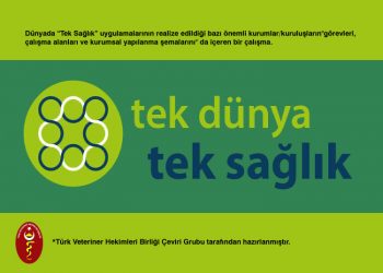 Dünyada “Tek Sağlık” Uygulamaları