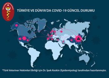 Türkiye ve Dünya’da COVID-19 Güncel Durumu