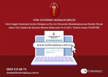 Elektronik Serbest Meslek Makbuzu (e-SMM) uygulaması