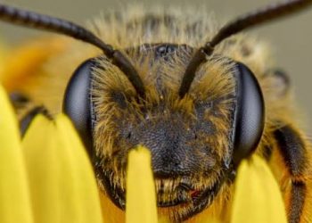 Bugün de onların günü