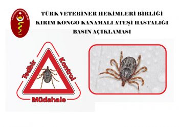 Kırım Kongo Kanamalı Ateşi Hastalığı Basın Açıklaması