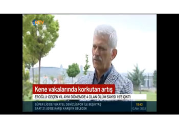 “Kene vakalarında korkutan artış”