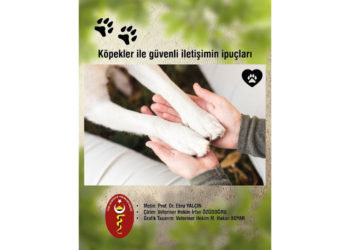 Köpekler ile güvenli iletişimin ipuçları