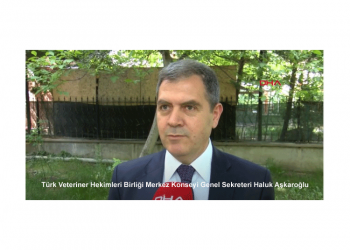 Koranavirüse özgü anti-serum üretimi