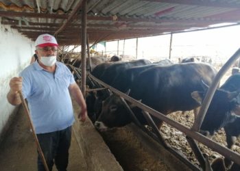 Nüfus artıyor, kesilen kurban sayısı artmıyor!