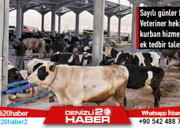 Sayılı günler kaldı: Veteriner Hekimlerden kurban hizmetleri için ek tedbir talebi geldi
