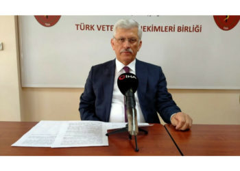 Uzman isimden dikkat çeken açıklama: Keneyi gördüğünüz anda eldivenle çıkarın