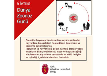 Dünya Zoonoz Günü 6 Temmuz