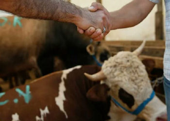Kurbanlık seçerken hayvanın sağlığına ve koronavirüs tedbirlerine dikkat edilmesi uyarısı