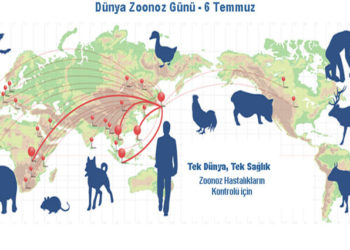 Türk Veteriner Hekimleri Birliği, Bakanlıklara Harekete Geçmeleri için Çağrı Yaptı!