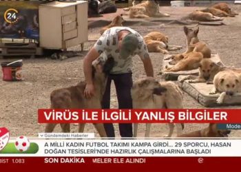 Türk Veteriner Hekimleri Birliği, yeni tip koronavirüse (#Covid_19 ) ilişkin ‘doğru bilinen yanlışlar’ hakkında uyarılarda bulundu.