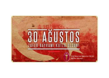 30 Ağustos Zafer Bayramı