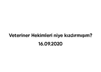 Veteriner Hekimleri niye kızdırmışım?