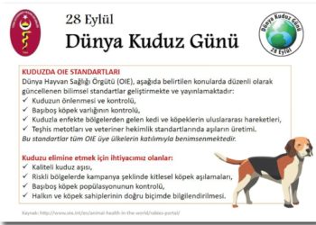 28 EYLÜL DÜNYA KUDUZ GÜNÜ
