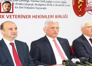 Sahipli ve sahipsiz hayvanlarda aşılama hayat kurtarıyor