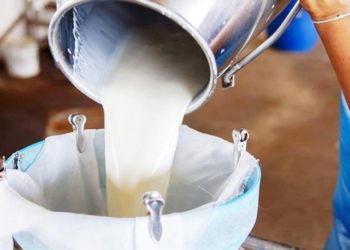 Düşük fiyat paritesi süt sektörünü olumsuz etkiler