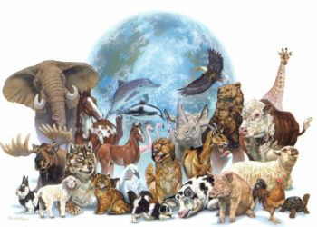 Bugün 4 Ekim Dünya Hayvanları Koruma Günü: Yeryüzünde tüm hayvanların yaşama hakkına sahip olduğu unutulmamalı