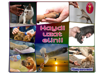 4 Ekim Hayvanları Koruma Günü