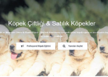 Vurgunda yeni yol köpek çiftlikleri