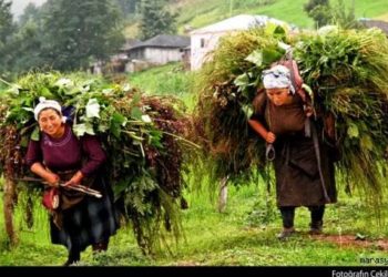 TVHB Merkez Konseyi’nden Dünya Çiftçi Kadınlar Günü mesajı