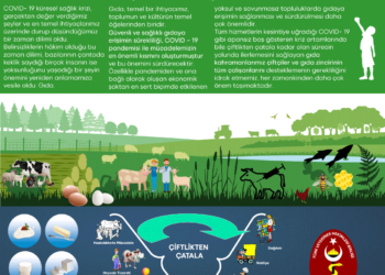 TVHB Merkez Konseyi Başkanı Eroğlu’ndan “Dünya Gıda Günü” mesajı