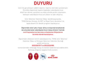 İzmir’de gerçekleşen şiddetli deprem, hepimizi derinden yaralamıştır.