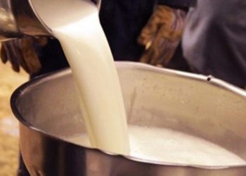 Türk Veteriner Hekimleri Birliği’nden çiğ süt fiyatı açıklaması!