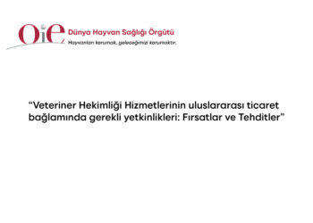 Veteriner Hekimliği Hizmetlerinin uluslararası ticaret bağlamında gerekli yetkinlikleri: Fırsatlar ve Tehditler