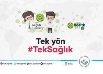 Tek Sağlık Günü