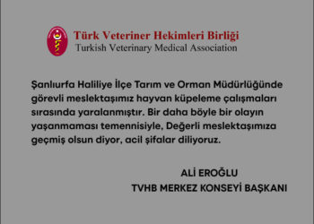 Hayvan küpeleme çalışmaları sırasında yaralanan meslektaşımız