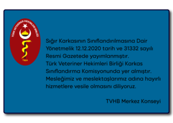 SIĞIR KARKASININ SINIFLANDIRILMASINA  DAİR YÖNETMELİK