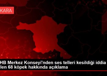 TVHB Merkez Konseyi’nden ses telleri kesildiği iddia edilen 68 köpek hakkında açıklama