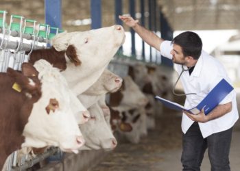 Veteriner Hekimlerden Sözcü yazarı Uçar’a tepki: ‘Mevzuatı öğrenin’