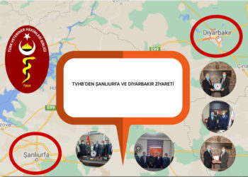 TVHB’den Şanlıurfa ve Diyarbakır Ziyareti
