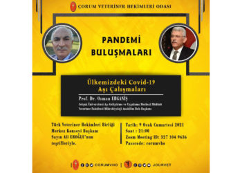 Pandemi Buluşmaları