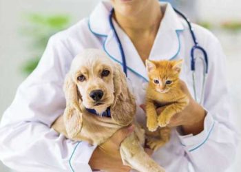 “Veteriner Hekimler Covid-19 Aşısında Öncelikli Grup İçerisinde Yer Almalıdır ”