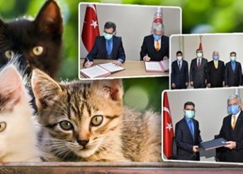 SAHİPLİ KEDİ VE KÖPEKLERİN KİMLİKLENDİRİLMESİ ZORUNLU OLACAK