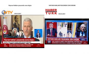 Hayvan Hakları Yasası