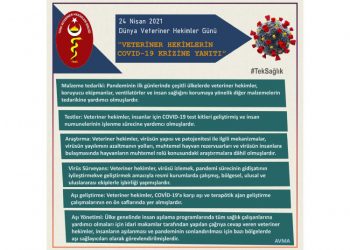 Tek Sağlık Anlayışı ile Yanıt Vermek