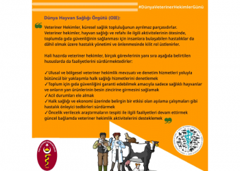 COVID-19 ve Bu Süreçte Veteriner Hekimlerin Sorumlulukları