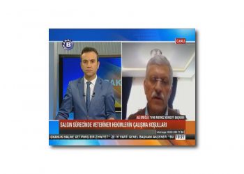 Salgın Sürecinde Veteriner Hekimlerin Çalışma Koşulları