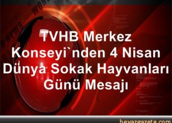TVHB Merkez Konseyi’nden 4 Nisan Dünya Sokak Hayvanları Günü Mesajı