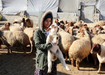 TVHB’den Tek Sağlık Kavramı Mesajı