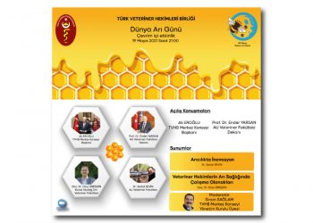 Dünya Arı Günü – Çevrim İçi Etkinlik