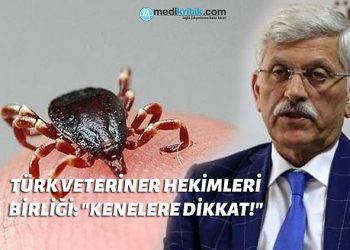 Türk Veteriner Hekimleri Birliği: “Kenelere dikkat!”