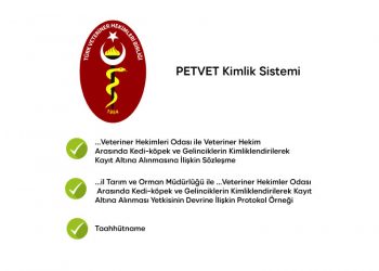 PETVET Kimlik Sistemi / Protokol, Taahhütname