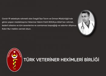 Vefat ve Taziye