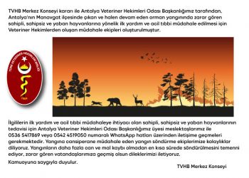 Antalya’nın Manavgat ilçesinde çıkan ve halen devam eden orman yangını