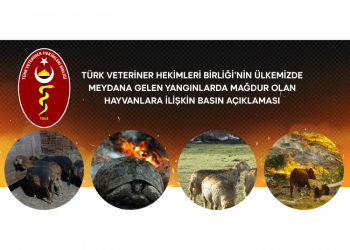 Türk Veteriner Hekimleri Birliği’nin Ülkemizde Meydana Gelen Yangınlarda Mağdur Olan Hayvanlara İlişkin Basın Açıklaması